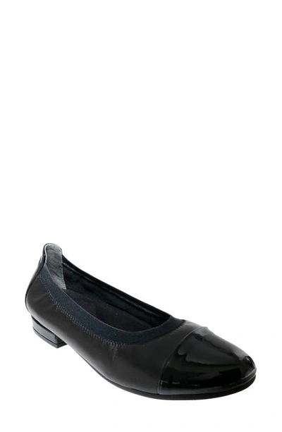 Shop David Tate Nicole Cap Toe Flat In Black