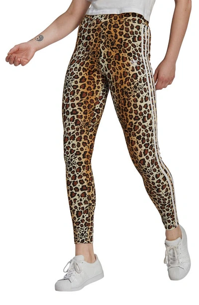 Adidas Originals Adidas Leopard Print Stripe Tights In Multi/brown |  ModeSens