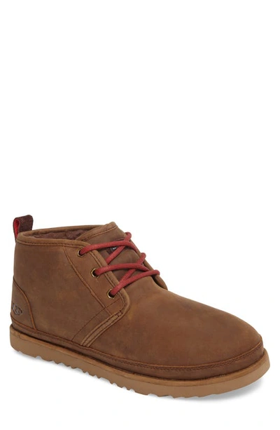 Shop Ugg Neumel Waterproof Chukka Boot In Grizzly