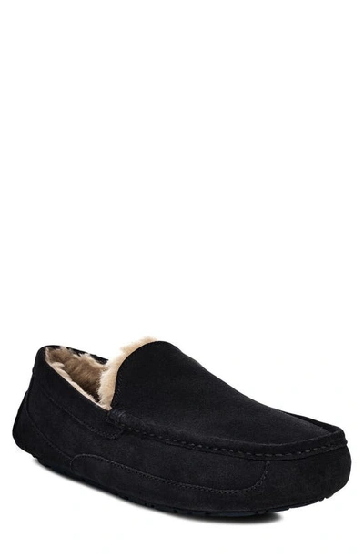 Shop Ugg Ascot Slipper In True Navy Suede