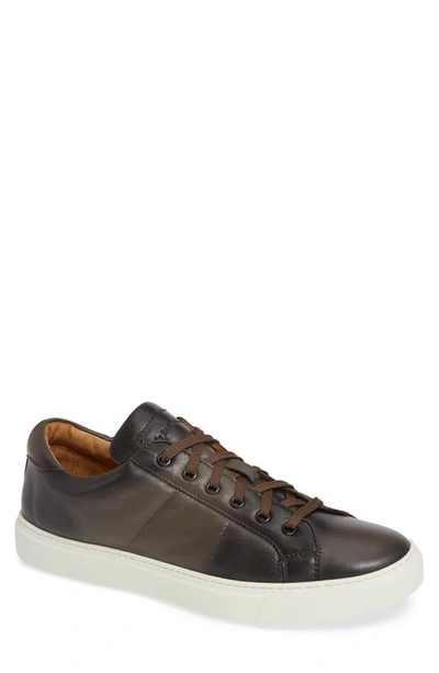 Shop To Boot New York Colton Sneaker In Taupe Grey Leather