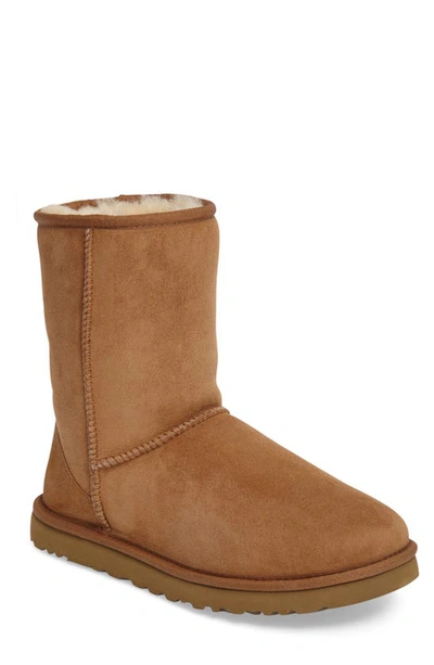 Shop Ugg Classic Short Boot In Chestnut