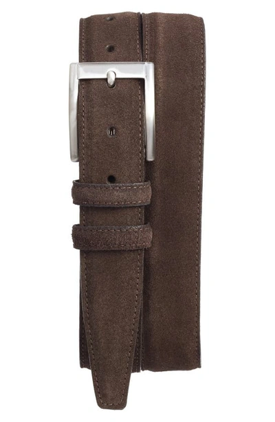 Shop Torino Suede Belt In Espresso