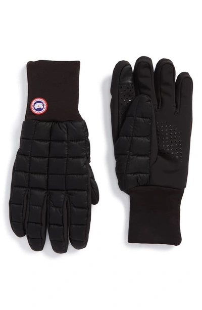 Shop Canada Goose Northern Liner Gloves In Black