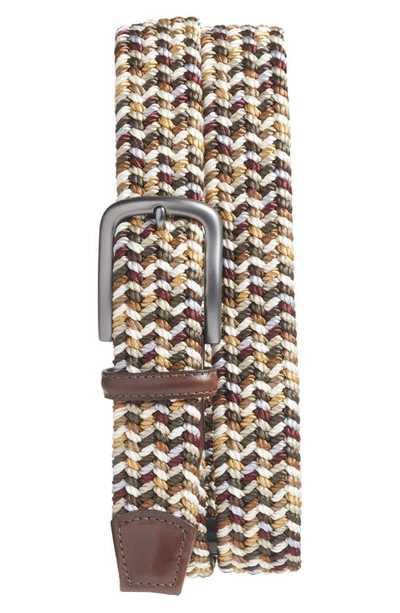 Shop Torino Woven Belt In Brown Multicolor