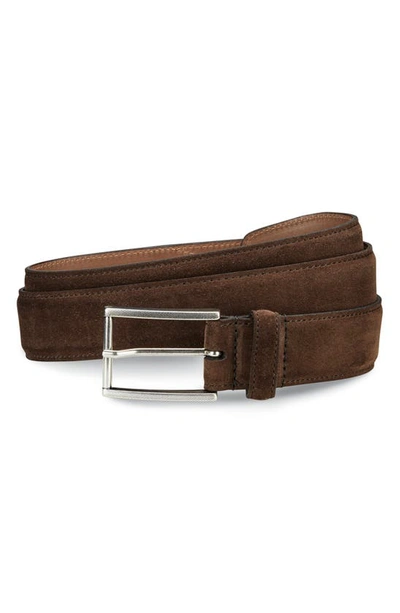 Shop Allen Edmonds Suede Avenue Leather Belt In Brown Suede