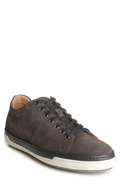 Shop Allen Edmonds Porter Sneaker In Grey Suede