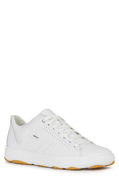 Geox Men's Nebula Leather Sneakers In White | ModeSens