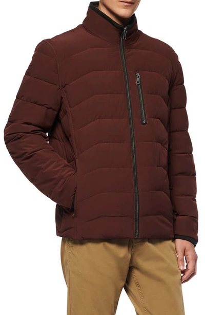 Shop Marc New York Carlisle Water Resistant Quilted Puffer Jacket In Oxblood