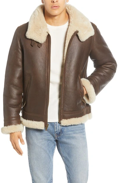 Shop Ugg Auden Genuine Shearling Trim Leather Aviator Jacket In Chestnut