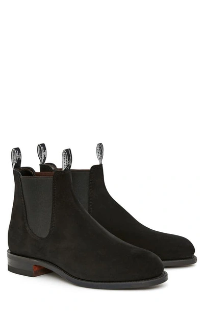 Shop R.m.williams Comfort Turnout Chelsea Boot In Black Suede