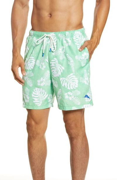 Shop Tommy Bahama Naples Parrot In Grass Green