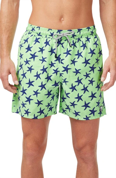 Shop Tom & Teddy Starfish Print Swim Trunks In Fresh Green/ Blue