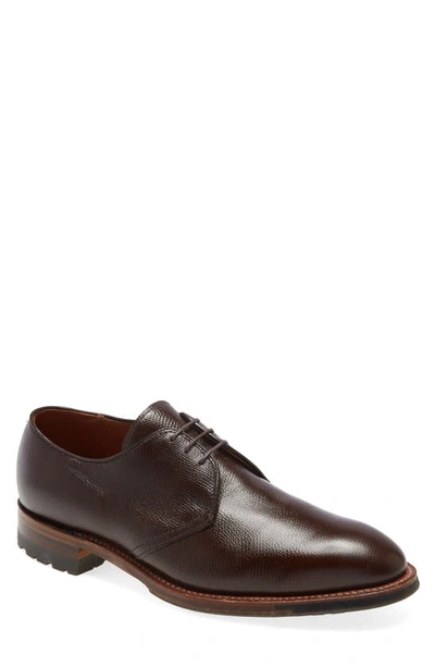 Shop Alden Shoe Company Blucher Plain Toe Derby In Dark Brown