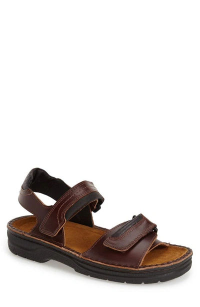Shop Naot Lappland Sandal In Buffalo Leather