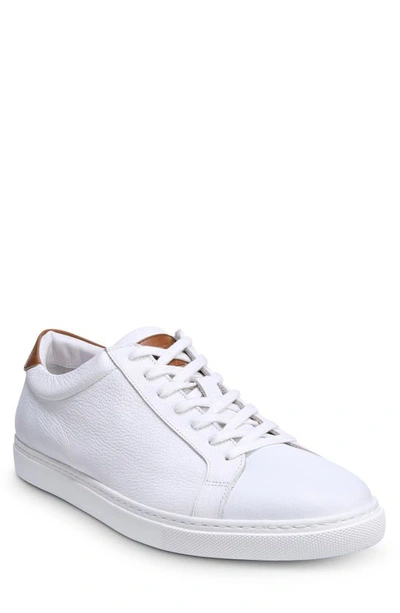 Shop Allen Edmonds Courtside Sneaker In White Leather