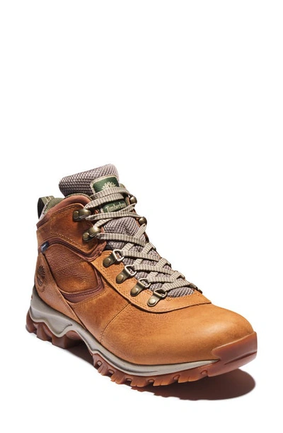 Shop Timberland Mt. Maddsen Waterproof Hiking Boot In Lt Brown Full Grain