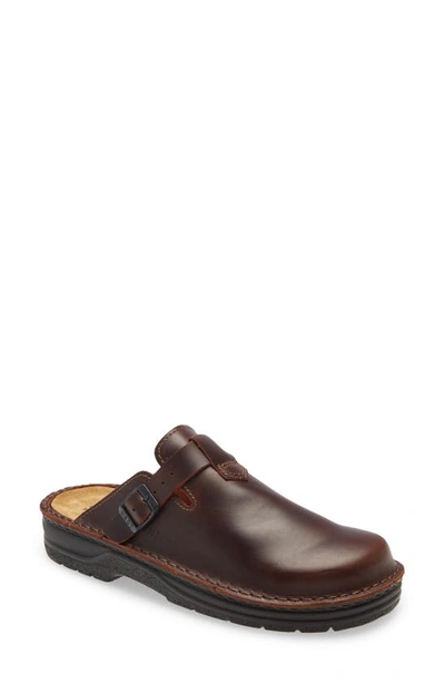 Shop Naot Fiord Clog In Buffalo Leather