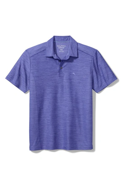 Shop Tommy Bahama Palm Coast Polo In Whisper Violet