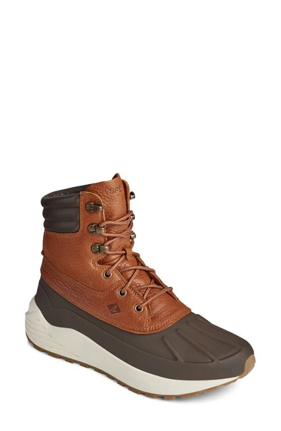 Shop Sperry Freeroam Hiker Boot In Dark Brown/ Tan