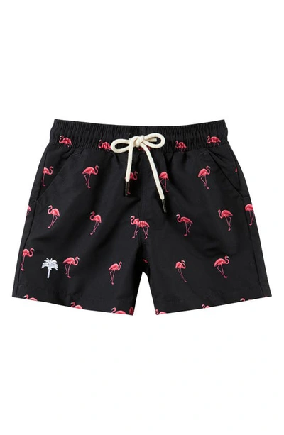 Shop Oas Flamingo Swim Trunks In Black
