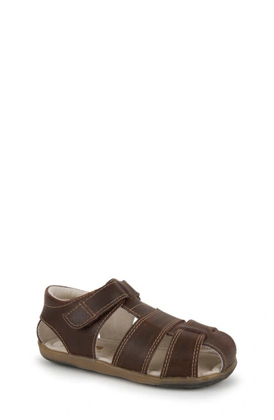 Shop See Kai Run Jude Sandal In Brown