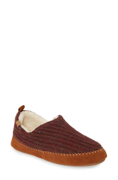 Shop Acorn Camden Slipper In Garnet Wool