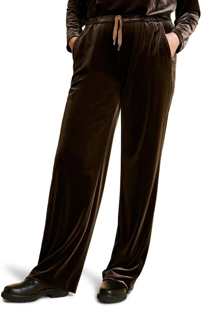 Shop Marina Rinaldi Velvet Jersey Pants In Brown