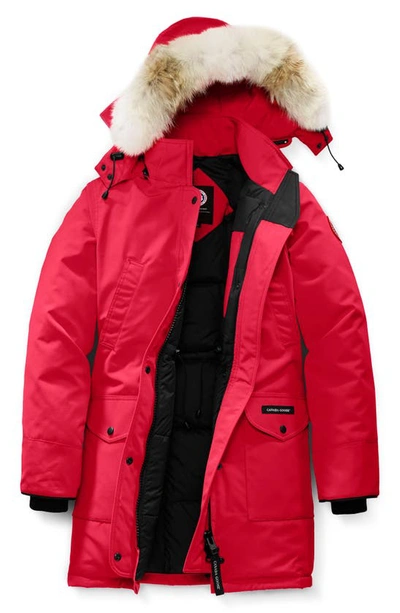 Shop Canada Goose Trillium Fusion Fit Hooded Parka With Genuine Coyote Fur Trim In Red