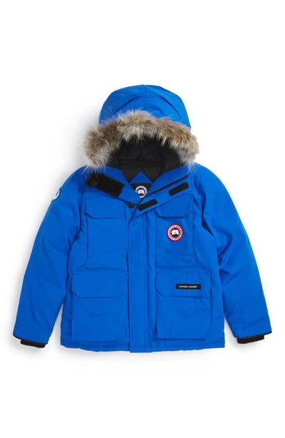 Shop Canada Goose Pbi Expedition Waterproof Down Parka With Genuine Coyote Fur Trim In Royal Blue