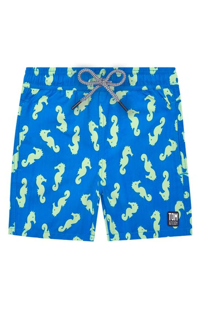 Shop Tom & Teddy Seahorse Print Swim Trunks In Navy & Pale Green