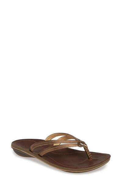 Shop Olukai 'u'i' Thong Sandal In Bronze/ Dark Java Leather