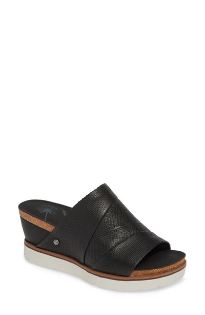 Shop Otbt Earthshine Wedge Sandal In Black Leather