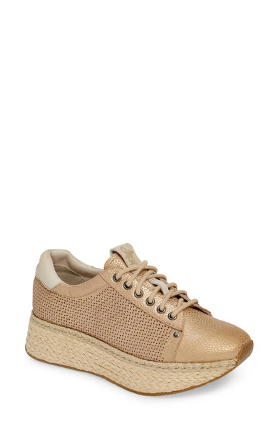 Shop Otbt Meridian Sneaker In New Gold Leather