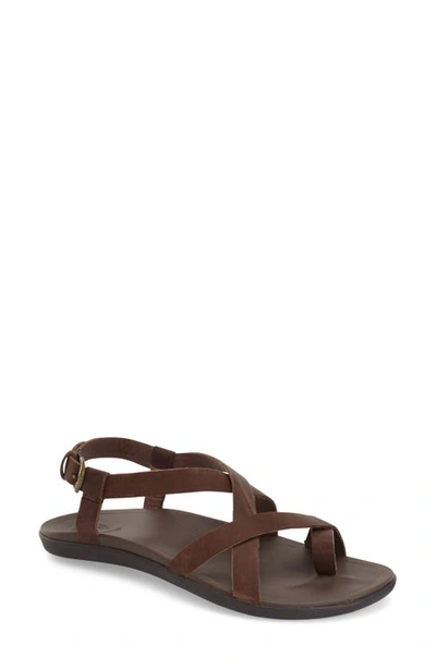 Shop Olukai 'upena' Flat Sandal In Brown Leather