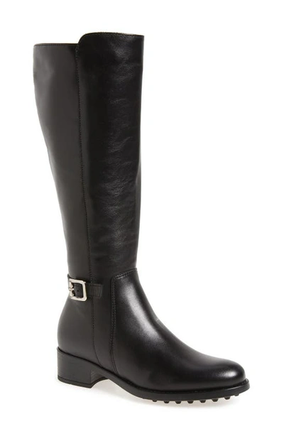 Shop La Canadienne Silvana Waterproof Riding Boot In Black Leather