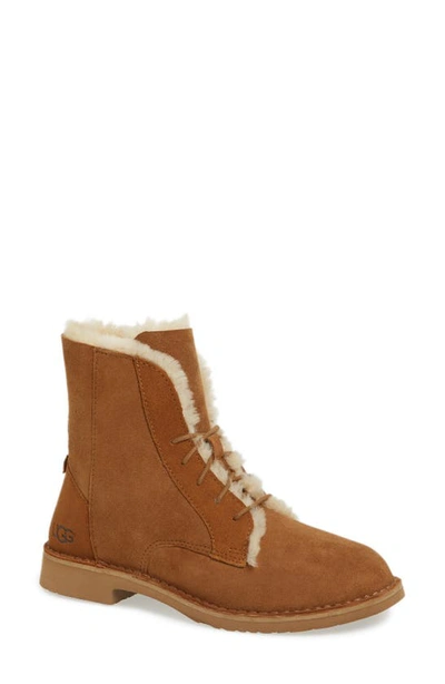 Shop Ugg (r) Quincy Boot In Chestnut Suede