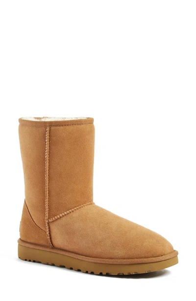 Shop Ugg Classic Ii Genuine Shearling Lined Short Boot In Chestnut Suede