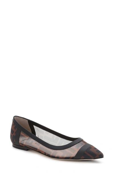 Shop Fendi Colibri Logo Pointed Toe Flat In Black