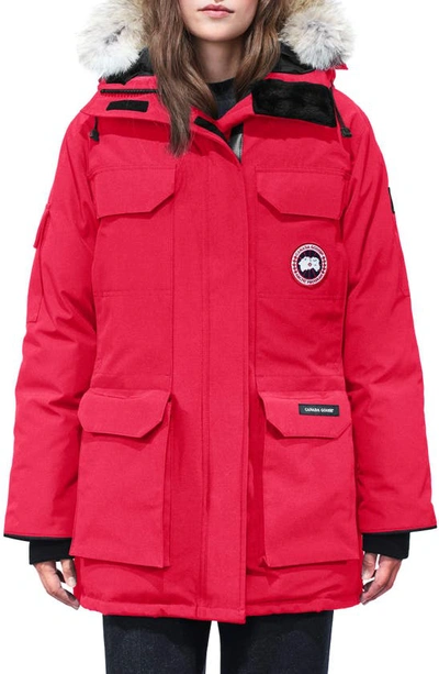 Shop Canada Goose Expedition Hooded Down Parka With Genuine Coyote Fur Trim In Red