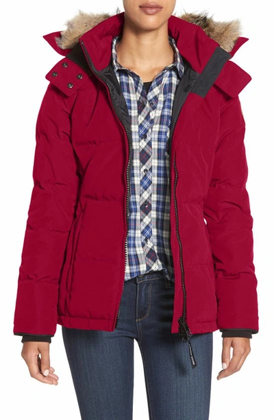 Shop Canada Goose 'chelsea' Slim Fit Down Parka With Genuine Coyote Fur Trim In Red