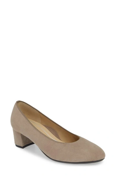 Shop Ara Kendall Pump In Taupe Suede