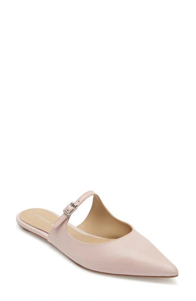 Shop Etienne Aigner Adan Mule In Blossom Leather