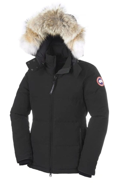 Shop Canada Goose 'chelsea' Slim Fit Down Parka With Genuine Coyote Fur Trim In Black