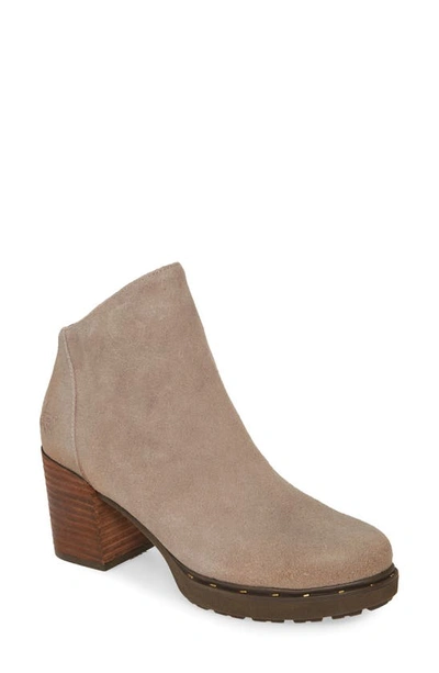 Shop Otbt Montana Bootie In Stone Leather