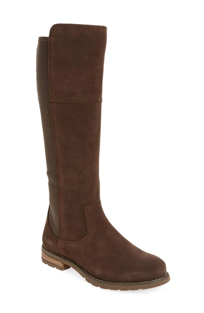 Shop Ariat Sutton Waterproof Tall Boot In Chocolate Leather