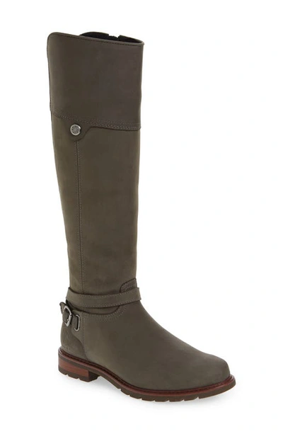 Shop Ariat Carden Waterproof Knee High Boot In Charcoal