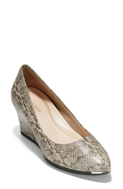 Shop Cole Haan Grand Ambition Wedge Pump In Natural Snake Print Leather