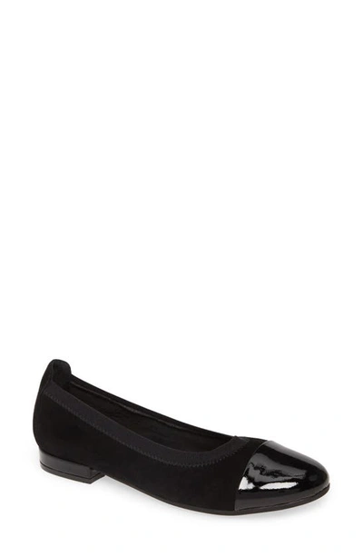 Shop David Tate Nicole Cap Toe Flat In Black Suede