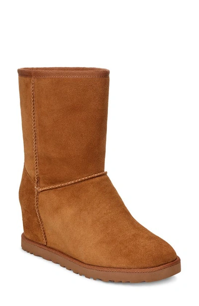 Shop Ugg (r) Classic Femme Wedge Bootie In Chestnut Suede